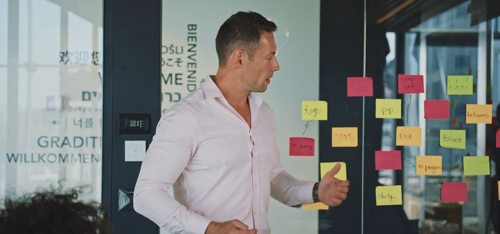 Project Manager and Business Professional