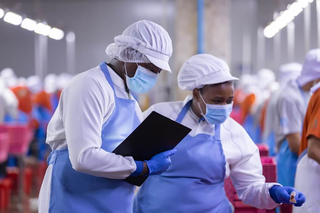 Environmental Safety Standards