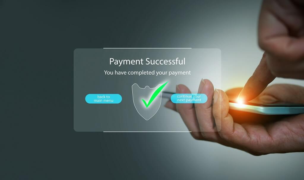 Payment Options Variety